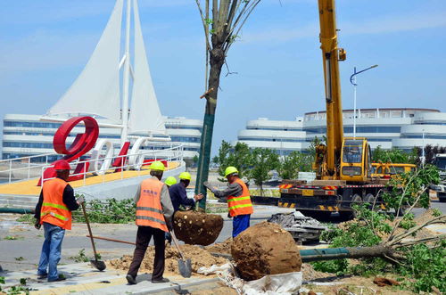 濱海區(qū)加速項目建設，全力打造精品工程